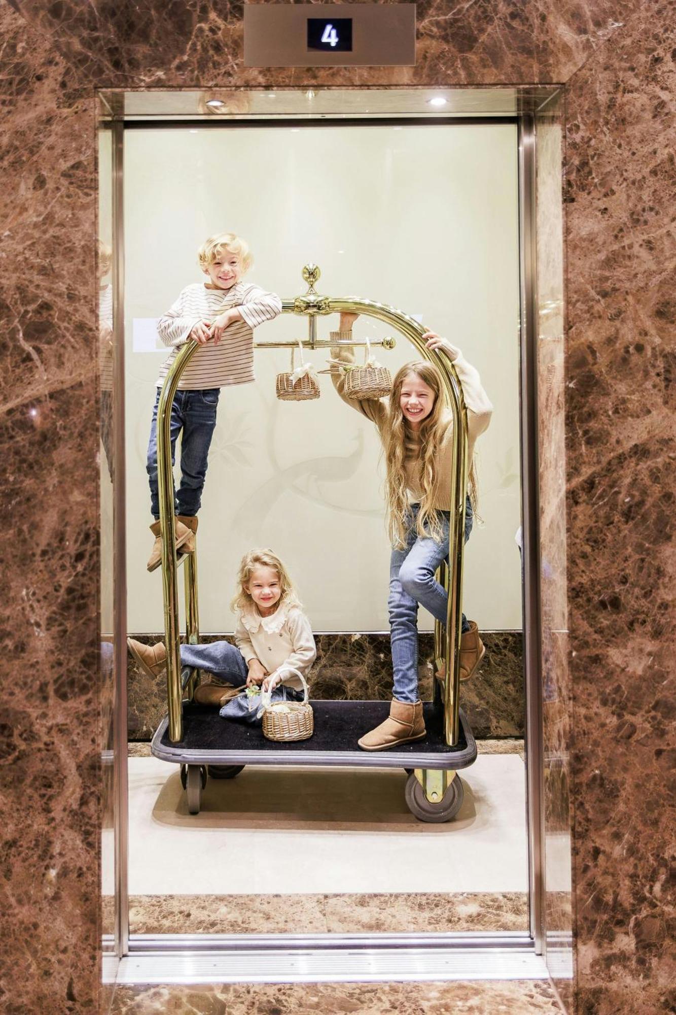 The Ritz-carlton,